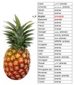funny-english-language-jokes-14.jpg