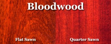 bloodwood.jpg