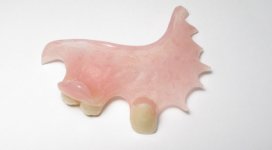 flipper-teeth.jpg