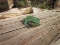 IMG_5921.jpg