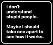 stupid.jpg