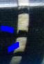 Capture1.JPG