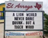 tiger wood.jpeg