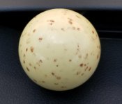 20170618_095544.jpg