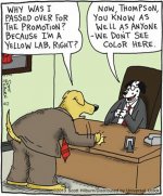Sunday-Funnies-070217-006.jpg