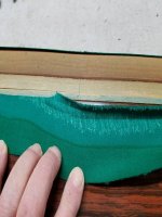 20170319_174307_resize_20170323_143404.jpg