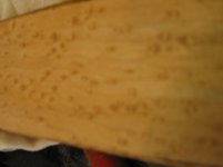 100-0010_IMG.JPG
