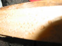 100-0008_IMG.JPG