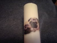 DSC00016.jpg DSC00016.jpg