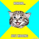 cat_meme_slideshow.jpg