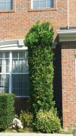 20150815_101621.jpg