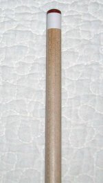 P1010009A.jpg
