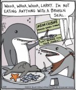 Capturebroken seal.jpg