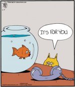 Sunday-Funnies-071617-013.jpg