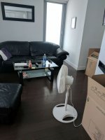 IMG_20170730_122949.jpg