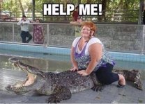 Please_Help_Me.jpg