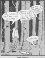 Captureforest viol.jpg