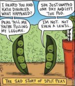 CaptureSPLITPEAS.jpg
