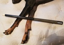 20170920_102654.jpg
