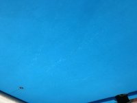 IMG_5784.jpg