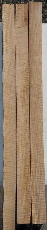 spaltedcurlywesternmaple1.jpg