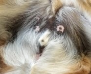 20171124_123057_1511548270139.jpg