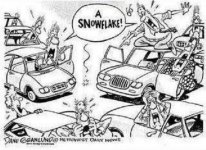 Snowflake.jpg