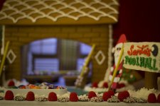 IMG_7063.jpg