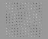 look.jpg
