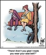 Seat Belt.jpg