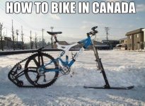 BA0321F7-02F4-461C-868E-B02A88050907.jpeg