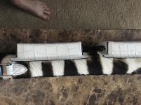 42A65C98-BB75-46A7-AE4A-66C4703CB86F.jpg