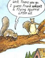 Flying Squirrel.jpg