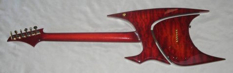 wasp back rs.jpg