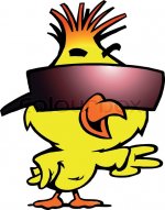 4931366-hand-drawn-vector-illustration-of-an-smart-chicken-with-cool-sunglass.jpg