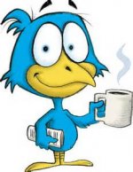 early bird.jpg early bird.jpg