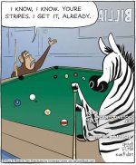 hobbies-leisure-billard-pool-pool_games-pub_games-zebras-grb120525_low.jpg