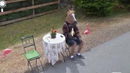 Horse-Head-At-Table-With-Banana.jpg