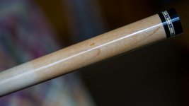 2N2B8443az.jpg