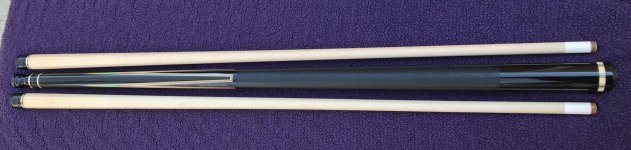 Manzino bridged pointer 044.jpg