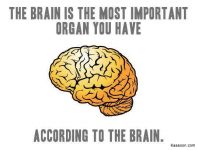 5FF8EF36-DC95-4AD3-B5AF-5E9A837C74EF.png