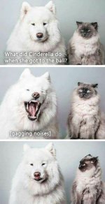 cinderella.jpg