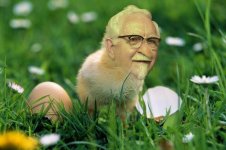kfc.jpg