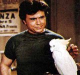 Baretta.jpg