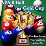 apa 8 ball.jpg