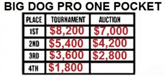 BIG DOG ONE POCKET PAYOUTS.jpg