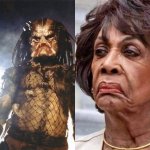maxine.jpg