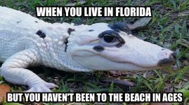 NO beach Yet.jpg
