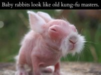 kung-fu master.jpg