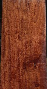 31311-19_x600.jpg